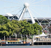 Brisbane River Cruise Morning - C Tourism