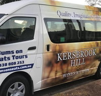 Brisbane To Gold Coast Airport Transfers - C Tourism