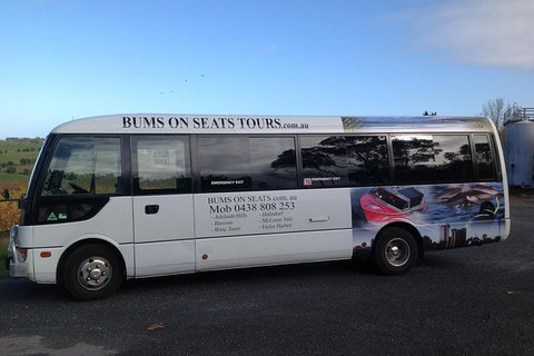 Brisbane To Gold Coast Airport Transfers - C Tourism 3