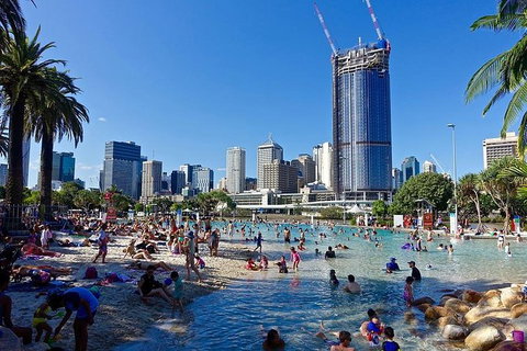 Brisbane Like A Local Customized Private Tour - C Tourism 3