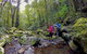 Lamington Day Tour - thumb 1