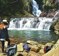 Lamington Day Tour - C Tourism