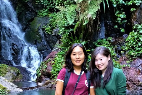 Lamington Day Tour - C Tourism 11