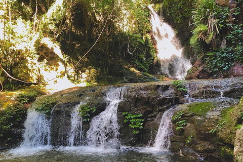 Lamington Day Tour - C Tourism 7