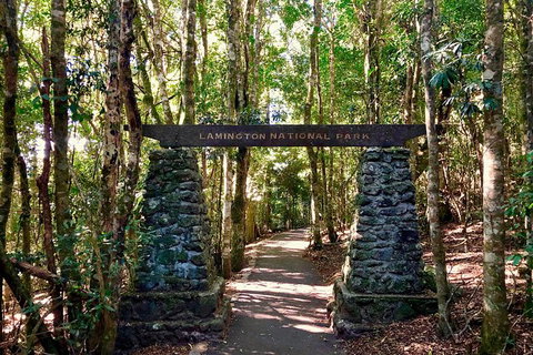 Lamington Day Tour - C Tourism 4