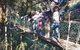 Lamington Day Tour - thumb 9