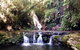 Lamington Day Tour - thumb 8