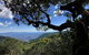 Lamington Day Tour - thumb 5