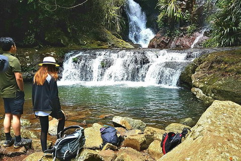 Lamington Day Tour - C Tourism 2