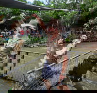 Hartley's Crocodile Adventures Day Trip from Cairns - C Tourism