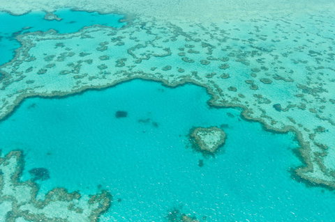 Whitsundays Seaplane Tours - C Tourism 2