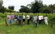 Full Day Mount Tamborine Winery Tour From Brisbane - thumb 0