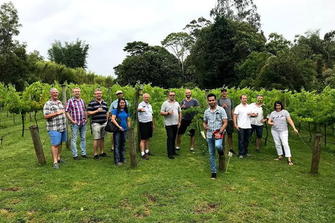 Full Day Mount Tamborine Winery Tour From Brisbane - C Tourism 0