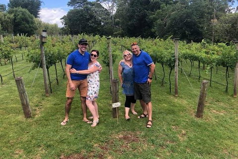 Full Day Mount Tamborine Winery Tour From Brisbane - C Tourism 5