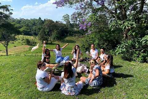 Full Day Mount Tamborine Winery Tour From Brisbane - C Tourism 10