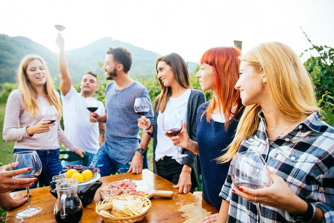 Full Day Mount Tamborine Winery Tour From Brisbane - C Tourism 13