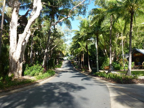 Whitehaven Beach And Hamilton Island Cruise - C Tourism 5