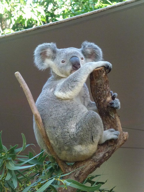 Whitehaven Beach And Hamilton Island Cruise - C Tourism 6