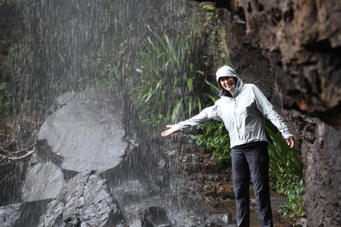 Small-Group 4WD Springbrook National Park Day Trip From Brisbane - C Tourism 1