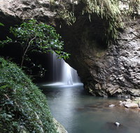Small-Group 4WD Springbrook National Park Day Trip from Brisbane - C Tourism