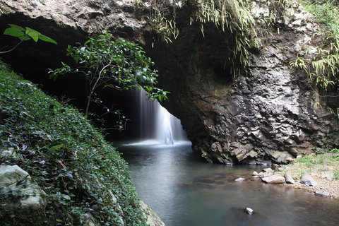 Small-Group 4WD Springbrook National Park Day Trip From Brisbane - C Tourism 0