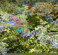 Conway National Park Coral Beach Walk including Shute Harbour from Airlie Beach - C Tourism