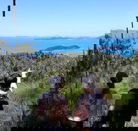 Scenic Guided Walk up Mt Rooper for Best Whitsunday Views from Airlie Beach - C Tourism