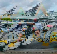 Private Airlie Beach Tuk-Tuk Tours - C Tourism