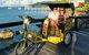 Private Airlie Beach Tuk-Tuk Tours - thumb 12