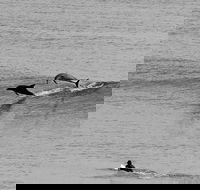 Overnight Tweed Coast Camping and Surfing Getaway From The Gold Coast - C Tourism