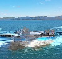 Whitsunday Island Boat Adventure - C Tourism