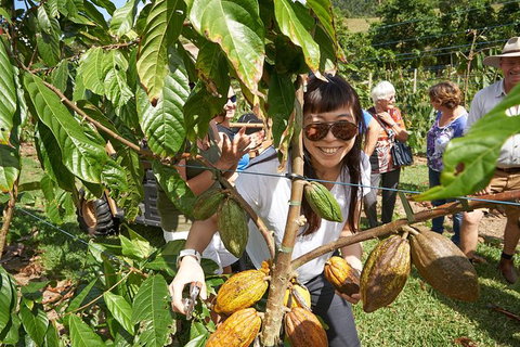 Charley\'s Chocolate Factory Tour, Mission Beach Including Aussie Farm Lunch - C Tourism 1