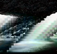 Natural Bridge Glow Worm Night Tour from Gold Coast - C Tourism