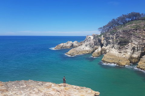 Full-Day Tour To North Stradbroke Island From Brisbane - C Tourism 0