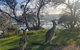Full-Day Tour To North Stradbroke Island From Brisbane - thumb 1
