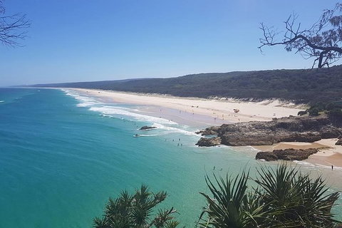 Full-Day Tour To North Stradbroke Island From Brisbane - C Tourism 10