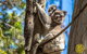 Full-Day Tour To North Stradbroke Island From Brisbane - thumb 8
