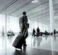 Brisbane Airport to and from Byron Bay NSW for up-to 11 ppl - C Tourism