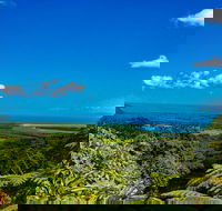 Cape Tribulation Day Tour - C Tourism