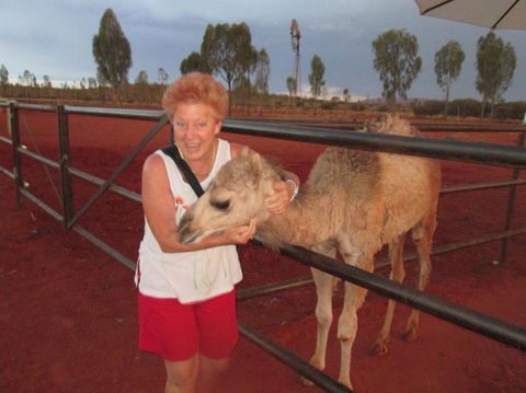 Uluru Small-Group Tour By Camel At Sunrise Or Sunset - C Tourism 18