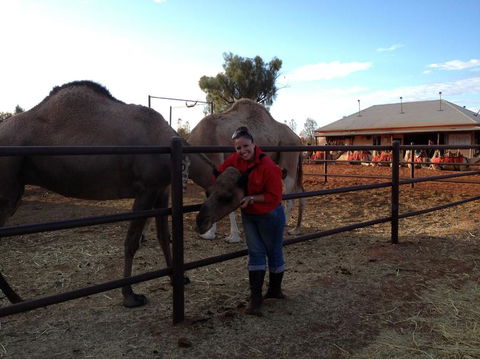 Uluru Small-Group Tour By Camel At Sunrise Or Sunset - C Tourism 21