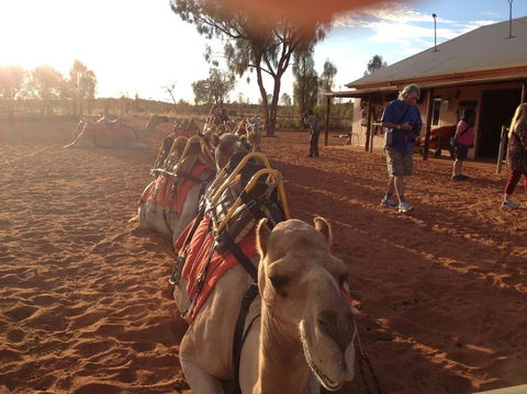Uluru Small-Group Tour By Camel At Sunrise Or Sunset - C Tourism 22