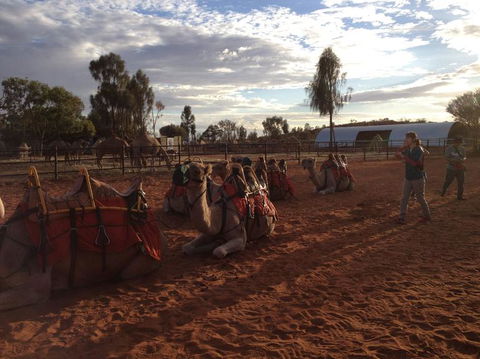 Uluru Small-Group Tour By Camel At Sunrise Or Sunset - C Tourism 23