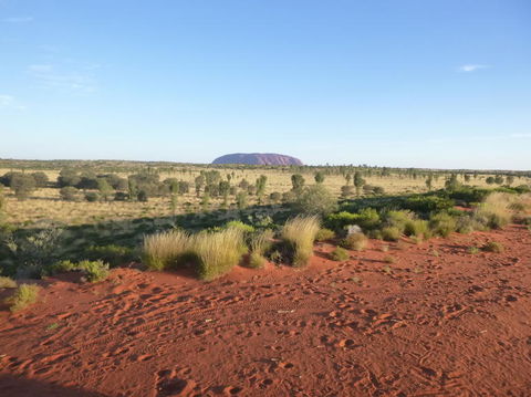 Uluru Small-Group Tour By Camel At Sunrise Or Sunset - C Tourism 9