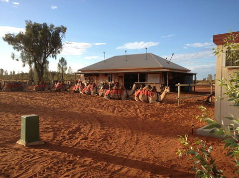 Uluru Small-Group Tour By Camel At Sunrise Or Sunset - C Tourism 19