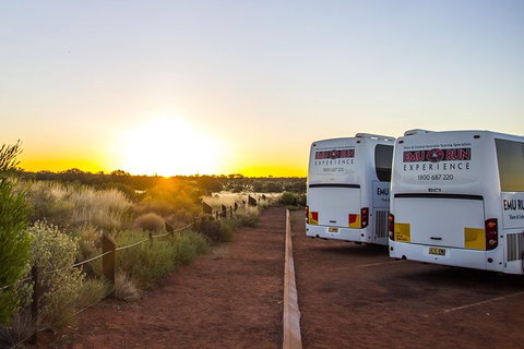 Uluru And Kata Tjuta Experience With BBQ Dinner - C Tourism 4