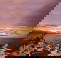 Darwin Harbour Sunset Cruise with Optional Buffet Dinner - C Tourism