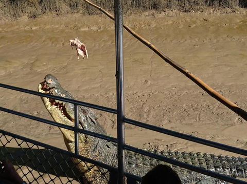 Litchfield And Jumping Crocodiles Full Day Trip From Darwin - C Tourism 5