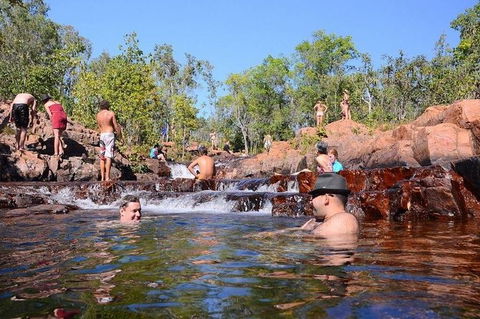 Litchfield And Jumping Crocodiles Full Day Trip From Darwin - C Tourism 0