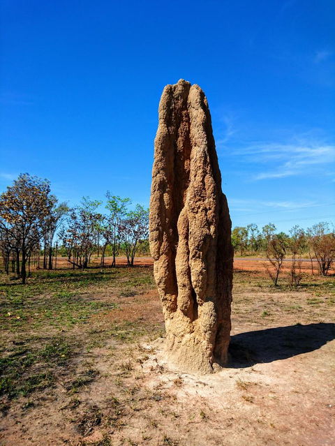 Litchfield And Jumping Crocodiles Full Day Trip From Darwin - C Tourism 4